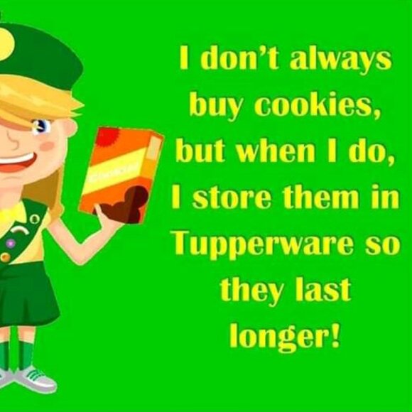 TUPPERWARE Pair/2 Logo Car Flags 12" x 18" in White w/ Bright *TW Brand Products - Picture 11 of 12